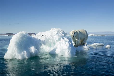 地球温暖化の影響とは？現在身近で起きていることや日本の状況を解説 グリラボ