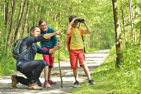 Id Es De Balades Dans Les Hauts De France Les Sorties Gratuites