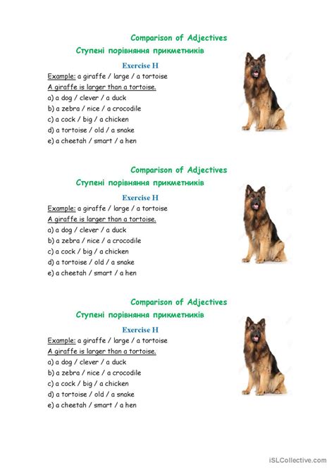 Comparison Of Adjectives General Gra English Esl Worksheets Pdf And Doc