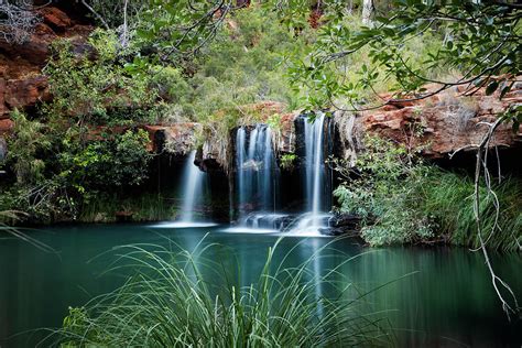 Beautiful Fern Pool And Waterfall At Dales Gorge In Karijini National