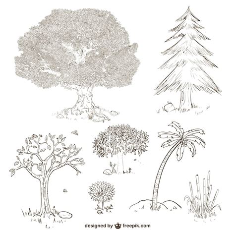 Trees and plants drawings Vector | Free Download