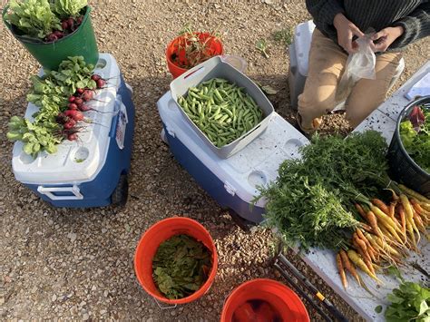 Summit Community Gardens — Summit Community Garden & EATS