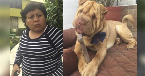 Facebook En Arequipa Mujer Agrede A Joven Y Su Perro Por Miccionar En