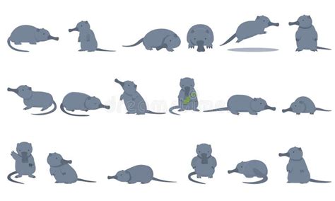 Desman Icons Set Cartoon . Beast Animal Stock Illustration ...