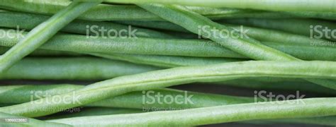 Chinese Long Beans Texture Close Up Full Frame Food Web Banner