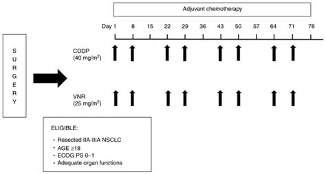 Efficacy Of Cisplatin Plus Vinorelbine Adjuvant Chemotherapy With Split