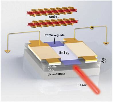 超灵敏双向光响应 SnSe2 光电探测器与薄膜铌酸锂光子学集成 Advanced Optical Materials X MOL