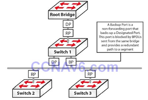 Section 32 – Rapid Spanning Tree Protocol