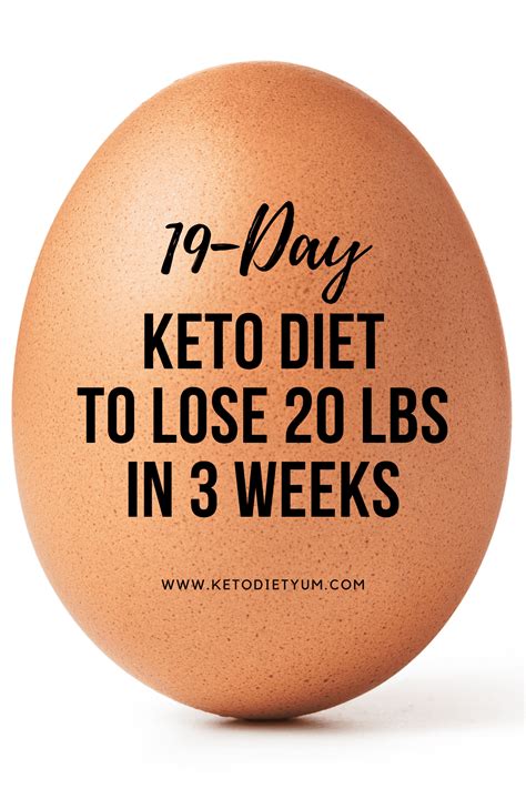 19 Day Keto Diet Plan For Beginners With Recipes And Meal Plan