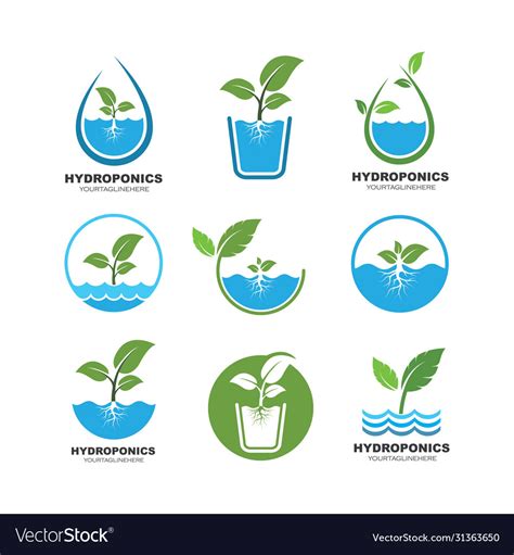 Hydroponics Logo Design Royalty Free Vector Image