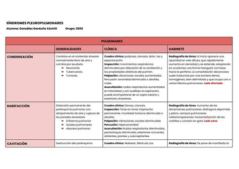 S Ndromes Pleuropulmonares Ang Lica Mena Udocz