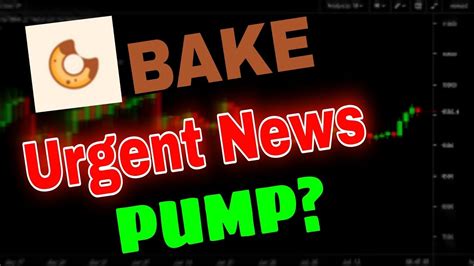 Bake Coin Urgent News Today Bake Price Prediction Update Bakery Token