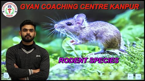 RODENT SPECIES ENTOMOLOGY Best Agriculture Coaching For UPCATET