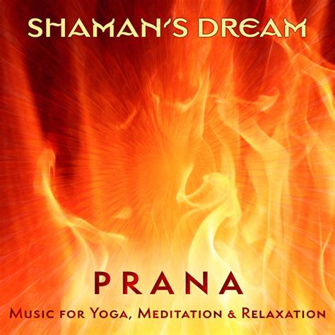 Prana Music For Yoga Meditation Healing Shaman S Dream Black