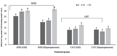 Superoxide dismutase SOD U mg protein¹ and catalase CAT mmol mg