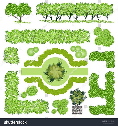 Trees Bush Item Top View Landscape Stock Vector Royalty Free 311515202