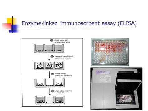 Biological Assays Neuroscience Core Facility