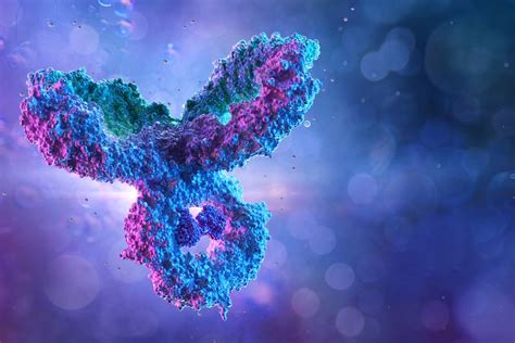 Charting The Choppy History Of ‘magic Bullet Antibody Drug Conjugates