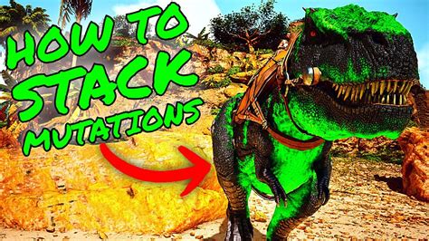 How To Stack Mutations In Ark Survival Ascended Asa Mutations Breeding