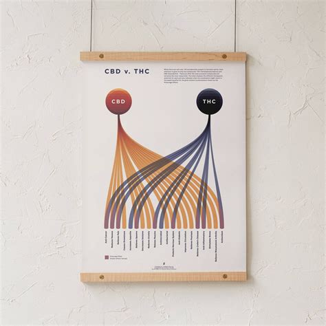 Cbd V Thc Comparison Infographic Chart Print Goldleaf