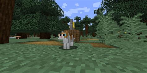 Best Cat Skins In Minecraft