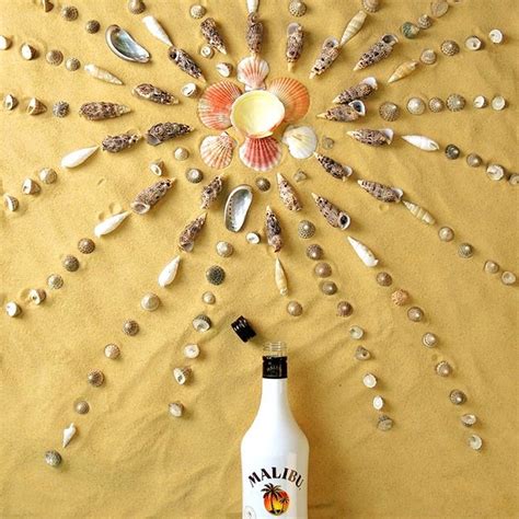 Sun Made Out Of Seashells Belly Button Rings My Style Style