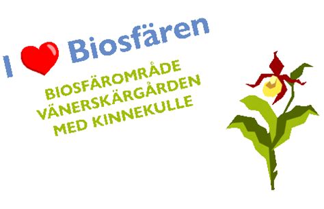 Agenda 2030 Blomma Sticker by Lake Vänern Archipelago and Mount