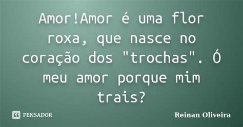 Amor Amor Uma Flor Roxa Que Nasce No Reinan Oliveira Pensador