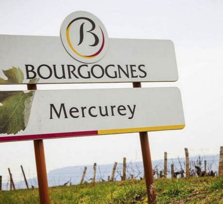 Centenaire De L Appellation Mercurey Un Si Cle D Excellence Viticole