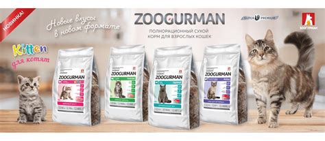 Корм для кошек Зоогурман (Zoogurman): отзывы, влажный, сухой, состав ...