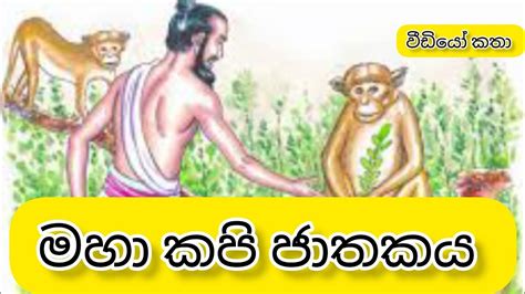 මහ කප ජතකය maha kapi jathakaya ජතක කත jathaka katha sinhala