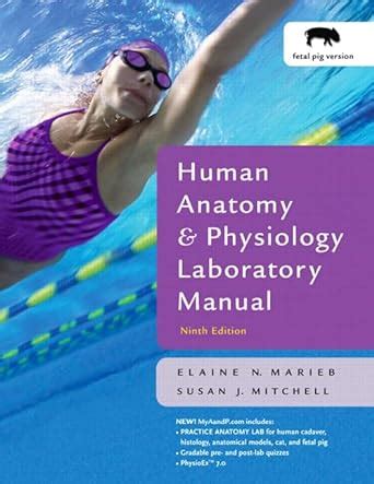 Buy Human Anatomy Physiology Lab Manual Fetal Pig Version Book