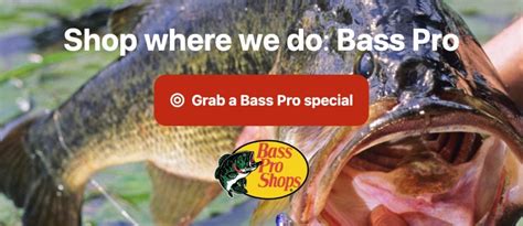 Best Swimbaits for Bass: Our 5 Top Picks of 2024