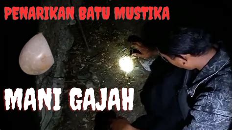 Penarikan Batu Mustika Mani Gajah YouTube