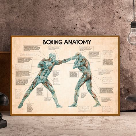 Buy WIPBLAK Boxing Anatomy Boxing Knowledge Boxing Wall Art Boxing Gift