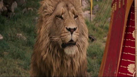 Aslan narnia, Chronicles of narnia, Narnia