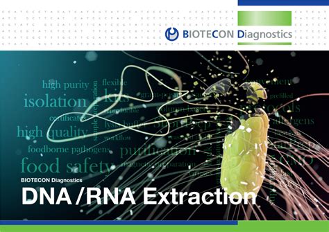 Dna Rna Extraction Dna Rna Extraction Key To Successful Analysis