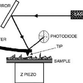 5 Principle Of SEM The Primary Electron Beam Produced At The Top Of