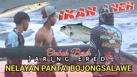 Nelayan Bojong Salawe Menjaring Dapat Ikan Aneh Panjang Bergigi Saat