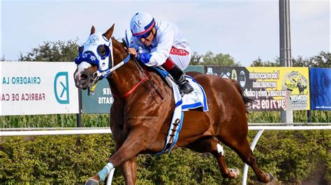 EL JOCKEY QUE SE MONTÓ AL ZORRITO LO CUENTA TODO ASÍ LO VIVIÓ DESDE