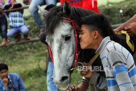 Pacuan Kuda Tradisional Gayo Republika Online