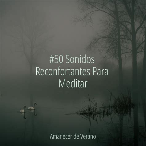 Sonidos Reconfortantes Para Meditar Cascada De Lluvia