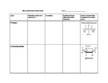 Macromolecules Biomolecules Study Guide Chart By Sandridge Science