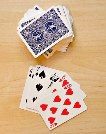 prime activity educationcom