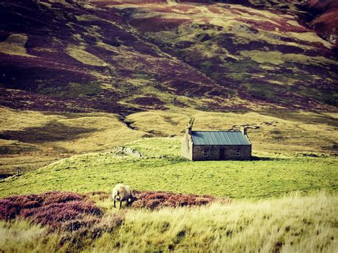 Fiona Muir photography