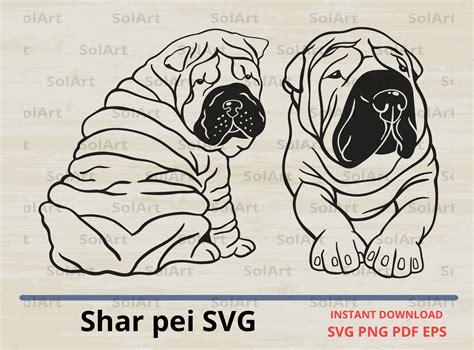 Shar Pei Svg Illustration Par Solart · Creative Fabrica