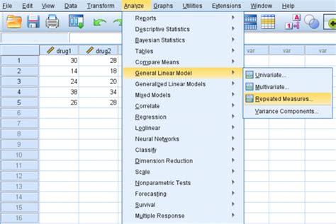 How To Perform A Repeated Measures ANOVA In SPSS