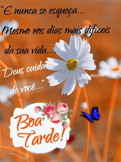 Frases Lindas De Boa Tarde Para Alguem Especial Imagez