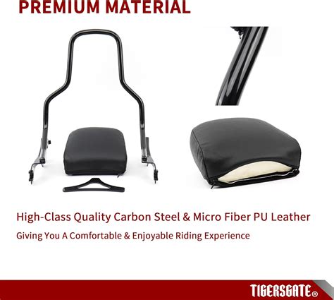 TIGERSGATE Barra Sissy Bar negra brillante de instalar rápida para