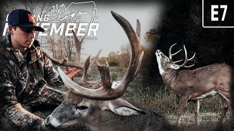 What Part Of Tennessee Offers The Ultimate Deer Hunting Experience